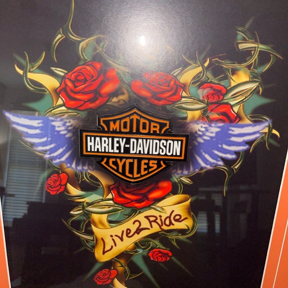 Harley Davidson Framed and Numbered “Live 2 Ride” Pin Artwork #384/1000 - Picture 2 of 5